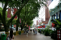 Orchard Road