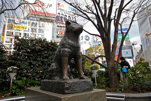 Hachiko Denkmal Shibuya