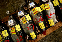 Tsukiji Fishmarket
