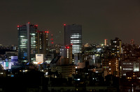 Tokio 2011